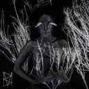 Bestial Mouths - Heartless (CD) - Discords.nl