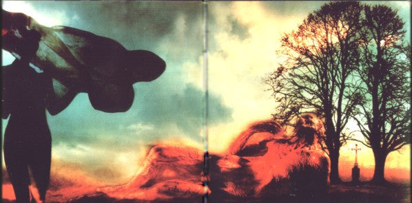 Anyone's Daughter - Piktors Verwandlungen (LP Tweedehands)