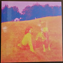 Eels - Blinking Lights And Other Revelations (LP) - Discords.nl