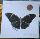 Villagers - That Golden Time (LP) - Discords.nl