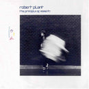 Robert Plant - The Principle Of Moments (LP Tweedehands)