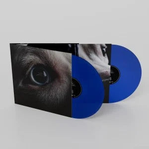 Roger Waters - Dark Side Of The Moon Redux (Blue Transparent Vinyl) (6-10-2023) - Discords.nl