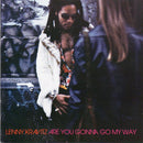 Lenny Kravitz - Are You Gonna Go My Way (CD Tweedehands)