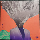 Everything Everything - Mountainhead (LP) - Discords.nl