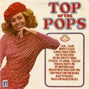 Unknown Artist - Top Of The Pops Vol. 17 (LP Tweedehands)
