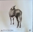 Orville Peck - Mule (LP)