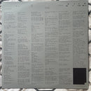 Everything Everything - Raw Data Feel (LP) - Discords.nl