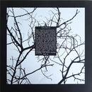 Cassell Webb - Llano (LP Tweedehands) - Discords.nl