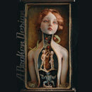 A Broken Design - Another day in hell (LP) - Discords.nl