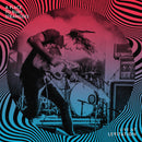A Place To Bury Strangers - Live at levitation (LP) - Discords.nl