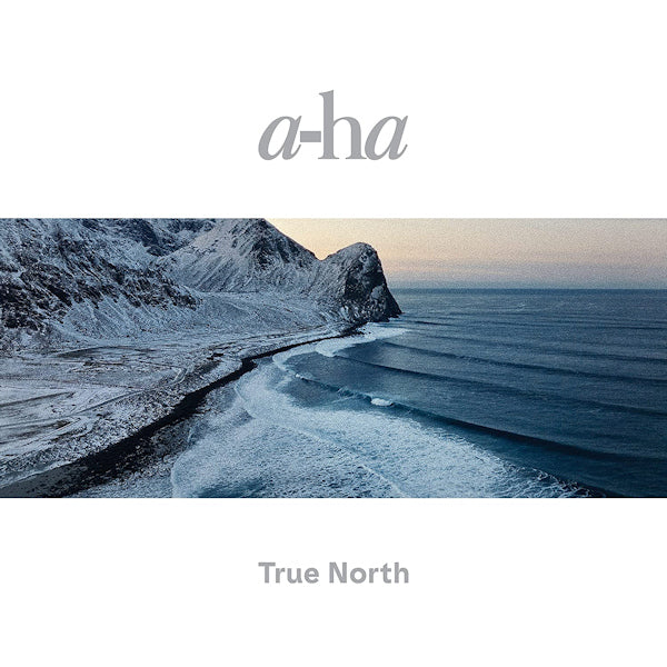 A-ha - True north (LP) - Discords.nl