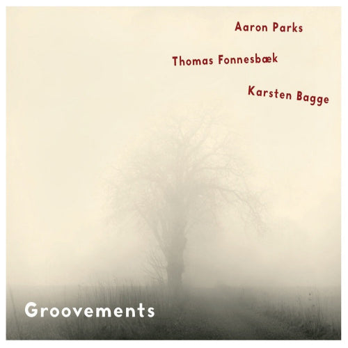 Aaron Parks - Groovements (CD) - Discords.nl