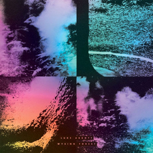 Luke Abbott - Wysing forest (CD) - Discords.nl