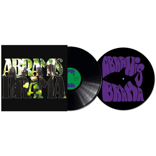 Abramis Brama - Nar tystnaden lagt sig (LP) - Discords.nl