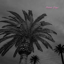 Actual Wolf - Faded days (LP) - Discords.nl