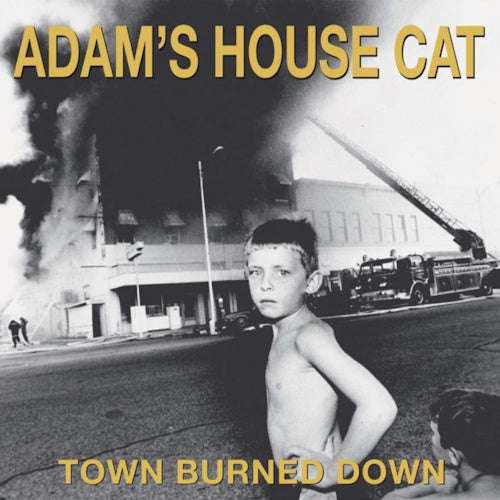 Adam's House Cat - Town burned down (LP) - Discords.nl