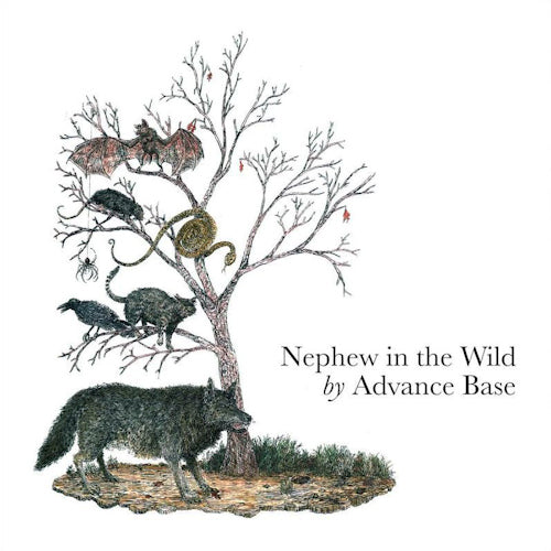 Advance Base - Nephew in the wild (LP) - Discords.nl