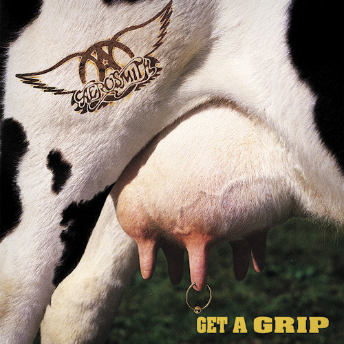 Aerosmith - Get a grip (LP) - Discords.nl