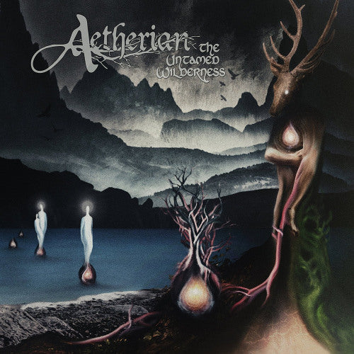 Aetherian - Untamed wilderness (LP) - Discords.nl