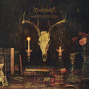 Aether Realm - Redneck vikings from hell (LP) - Discords.nl