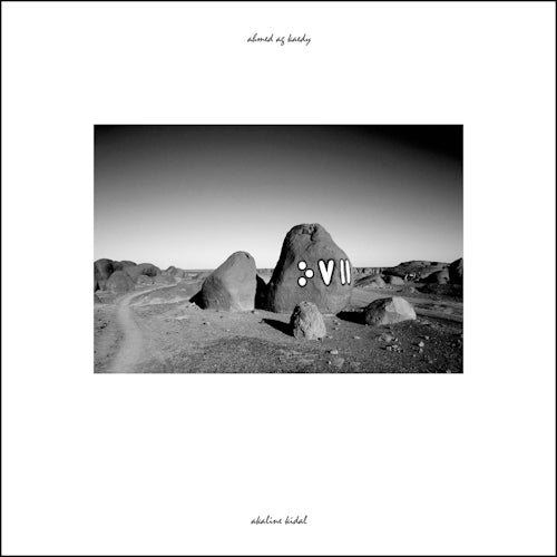 Ahmed Ag Kaedy - Akaline kidal (LP) - Discords.nl