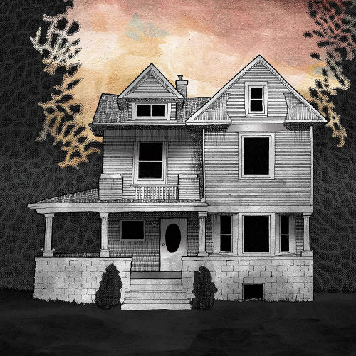 Steve Albini & Alison Chesley & Tim Midyett - Music from the film girl on the third floor (LP) - Discords.nl