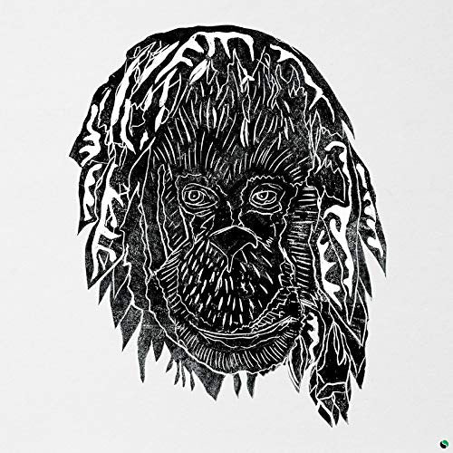 Alpha Steppa - Raise the ark (CD) - Discords.nl