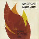 American Aquarium - Burn.flicker.die (LP) - Discords.nl