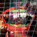 Animal Collective - Centipede hz (CD) - Discords.nl