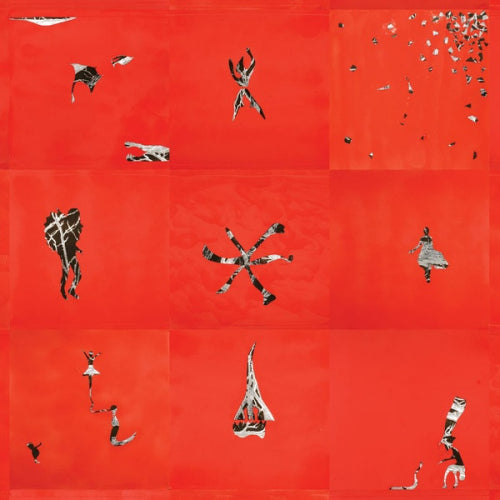 Animal Collective - Hollinndagain (LP) - Discords.nl
