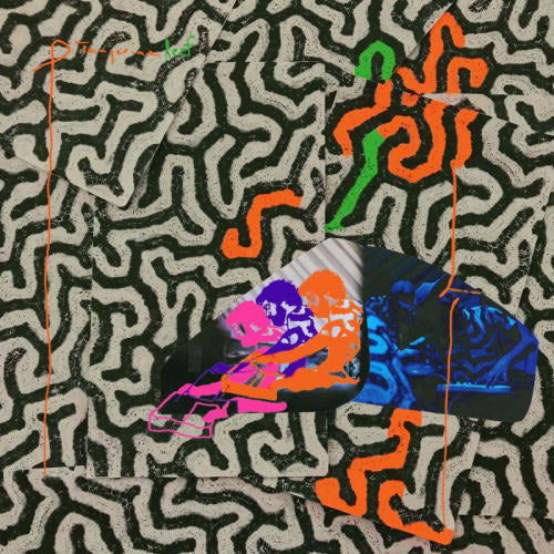 Animal Collective - Tangerine reef (CD) - Discords.nl