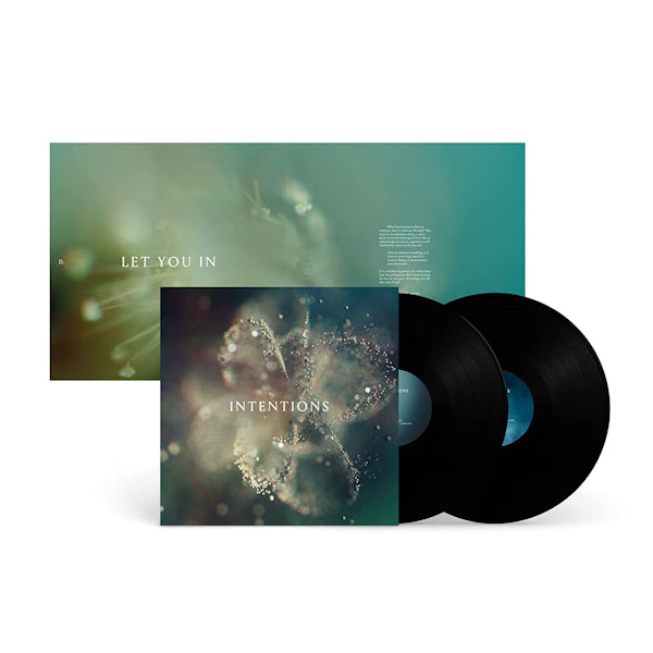 ANNA - Intentions (LP) - Discords.nl
