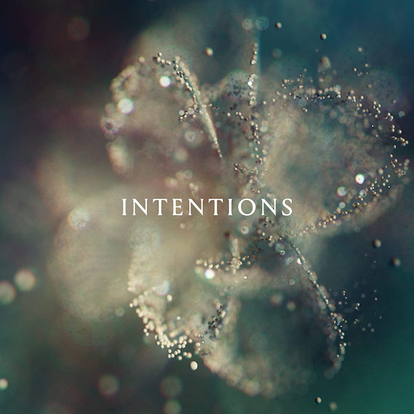 ANNA - Intentions (LP) - Discords.nl