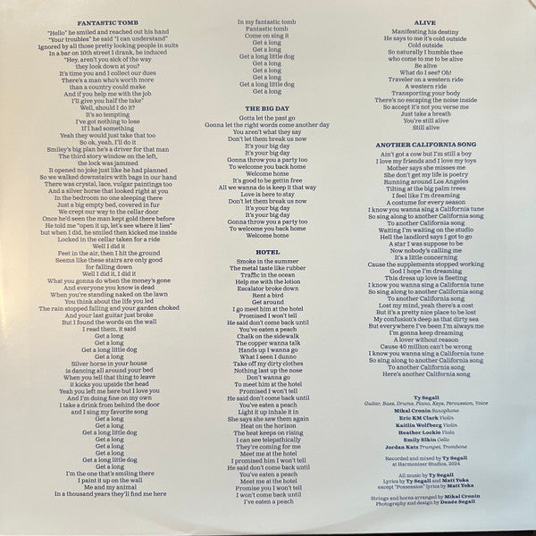 Ty Segall - Possession (LP)