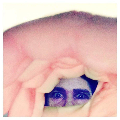 Ariel Pink - Odditties sodomies vol. 2 (LP) - Discords.nl