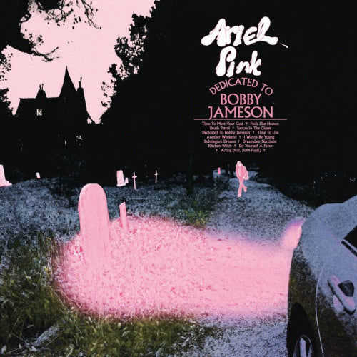 Ariel Pink - Dedicated to bobby jameson (LP) - Discords.nl