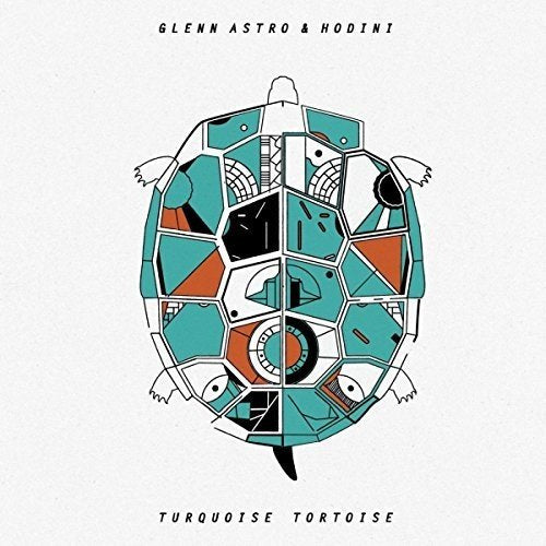 Glenn Astro & Hodini - Turquoise tortoise (LP) - Discords.nl