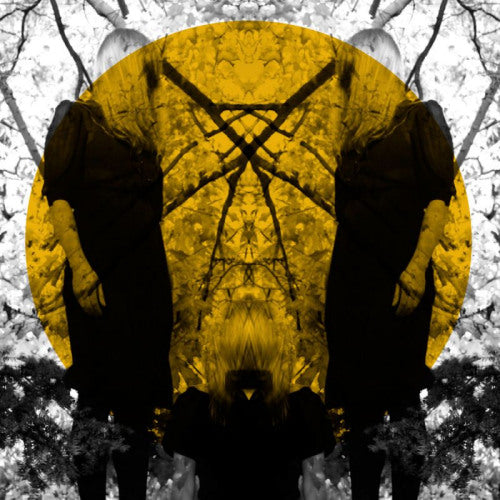 Austra - Feel it break (LP) - Discords.nl