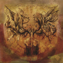 A Forest Of Stars - A shadowplay for yesterday (CD) - Discords.nl