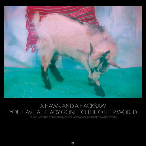 A Hawk And A Hacksaw - You have already gone to the other world (CD) - Discords.nl