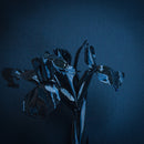 A Swarm Of The Sun - Rifts (CD) - Discords.nl