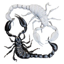 Abel Van Gijlswijk & Sef - IJsland (LP) - Discords.nl