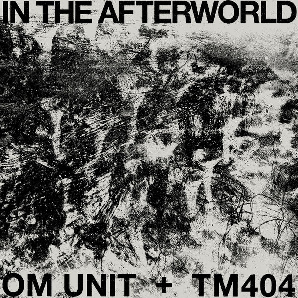 Om Unit + Tm404 - In the afterworld (LP) - Discords.nl