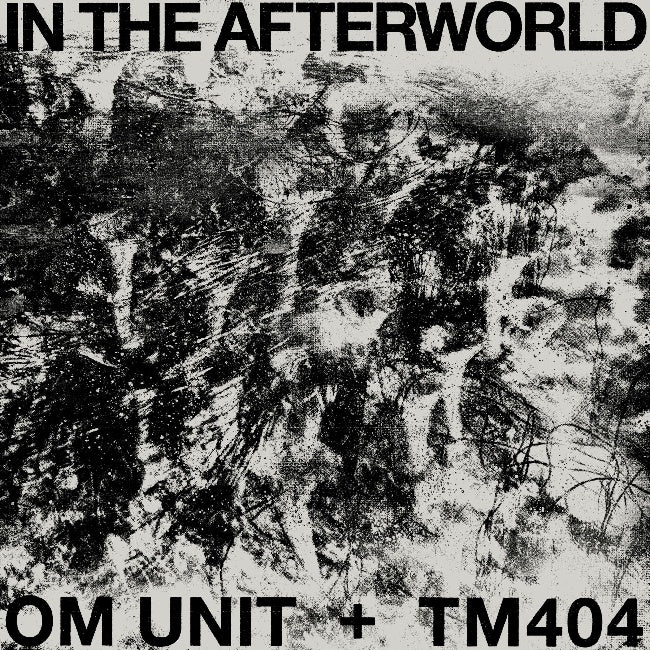 Om Unit + Tm404 - In the afterworld (LP) - Discords.nl