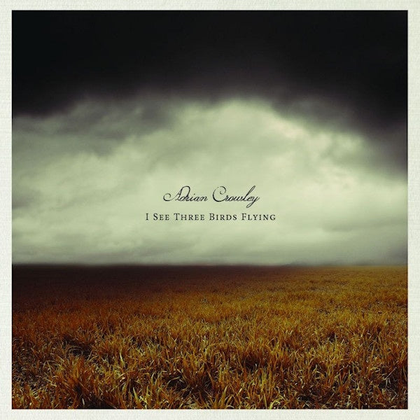Adrian Crowley - I see three birds flying (LP) - Discords.nl