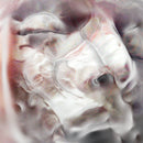 Adult Jazz - Earrings off! (LP) - Discords.nl