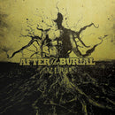 After The Burial - Rareform (LP) - Discords.nl