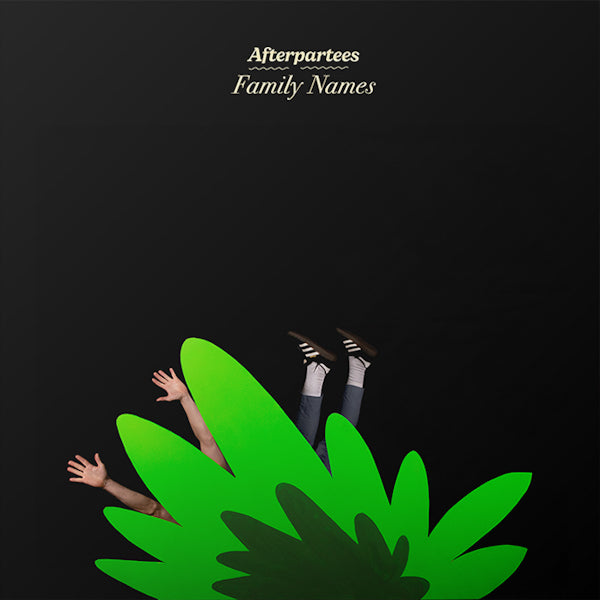 Afterpartees - Family names (CD) - Discords.nl