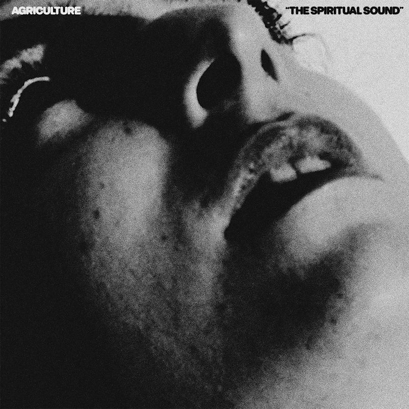 Agriculture - The spiritual sound (CD) - Discords.nl