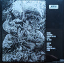 Baroness - Stone (LP) - Discords.nl